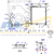 Шланг TADANO 348-803-00290 для CL-500-1
